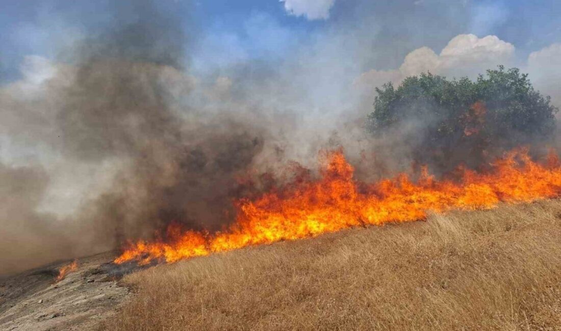 Diyarbakır iline bağlı beş ilçede meydana gelen anız ve örtü