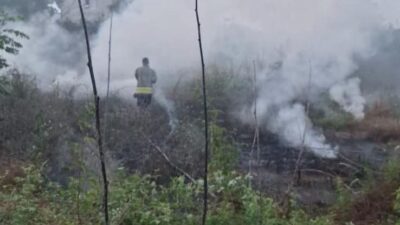 Hatay’ın Dörtyol ilçesinde meydana gelen yangın, hızlı bir şekilde müdahale
