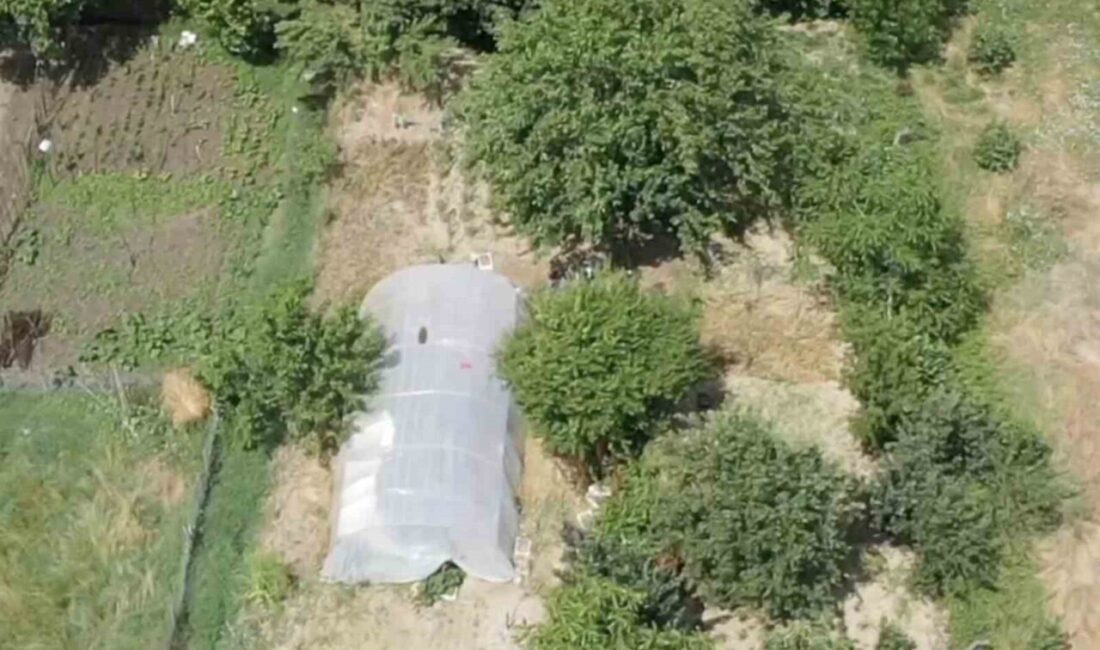 Sakarya ilinde narkotik ekiplerinin dron kullanarak gerçekleştirdiği operasyon sonucunda, seracılık