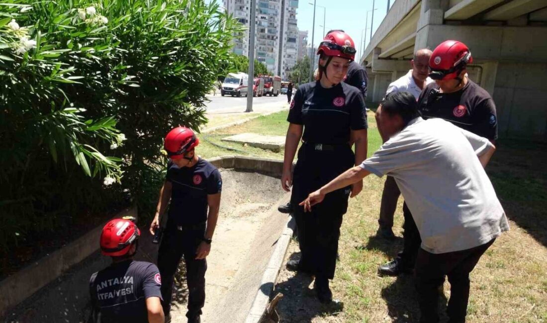 Antalya’da bir yaşlı karı-kocanın cadde üzerinde bulunan gider borusuna düştüğü