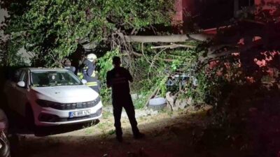 Eskişehir’de bir dut ağacı, park halindeki araçların üzerine devrildi. Aynı
