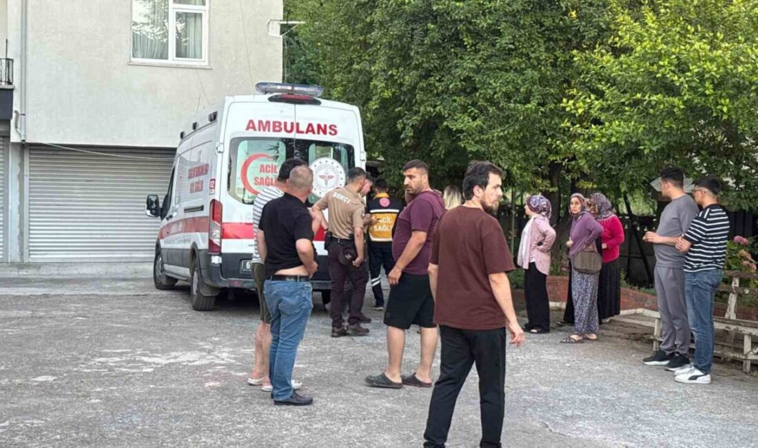 Alaplı ilçesinde bir dut toplama etkinliği sırasında ağaçtan düşen Dursun