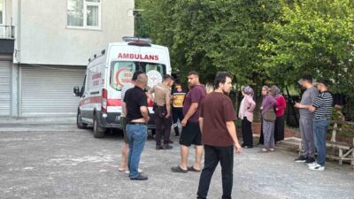 Alaplı ilçesinde bir dut toplama etkinliği sırasında ağaçtan düşen Dursun
