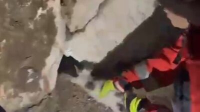 Muğla’nın Yatağan ilçesinde, Ahi Sinan Parkı’nda taş duvar arasına sıkışan