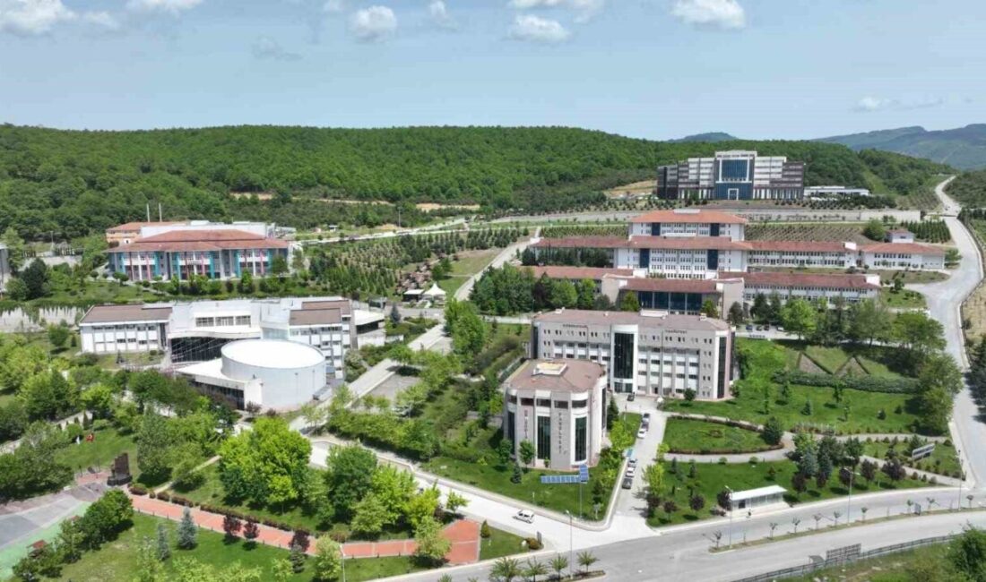 Düzce Üniversitesi, TÜBİTAK Araştırma Destek Programları (TÜBİTAK-ARDEB) kapsamında hazırlanan proje