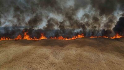 Edirne’de, rüzgarın etkisiyle hızla büyüyerek hasat zamanı gelmemiş buğday tarlalarına