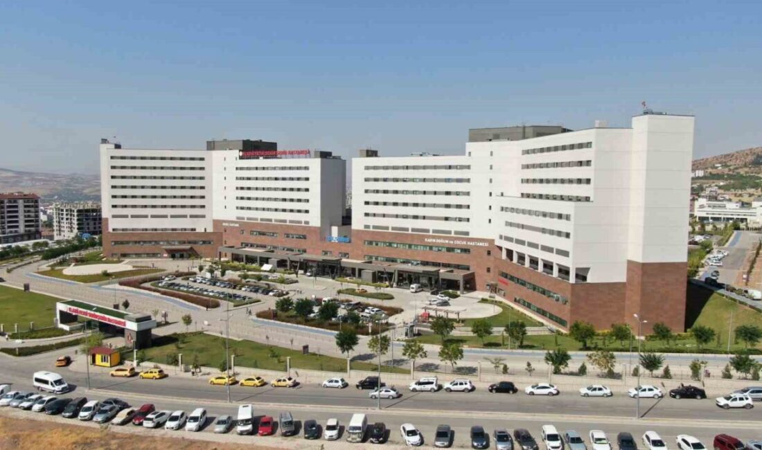 Elazığ ilinde, Kırklar Mahallesi Doruk Sokak’ta bulunan bir binanın 3.