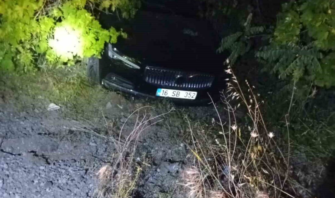 Elazığ’da bir sürücü, aracın direksiyon kontrolünü yitirerek şarampole uçtu. Sürücü