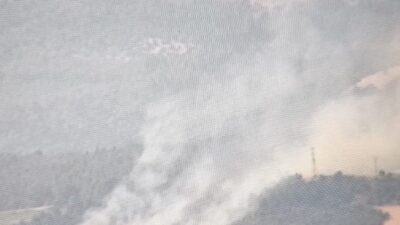 Çanakkale’de, bir karganın elektrik tellerine çarpması sonucu çıkan yangın, rüzgarın
