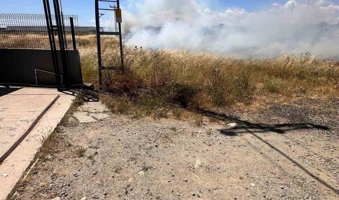 Kuşun elektrik tellerine çarpması sonucu Kapaklı ilçesindeki Fatih Mahallesi’nde bulunan