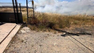 Kuşun elektrik tellerine çarpması sonucu Kapaklı ilçesindeki Fatih Mahallesi’nde bulunan