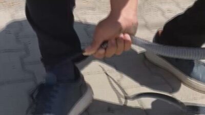Hatay’ın Payas ilçesinde, Yılancı Kemal lakabıyla tanınan Kemal Başer, bahçe