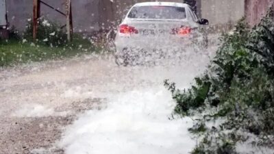 Van’ın Erciş ilçesinde, polenlerin tutuşması sonucu otluk alanlarda yangınlar meydana