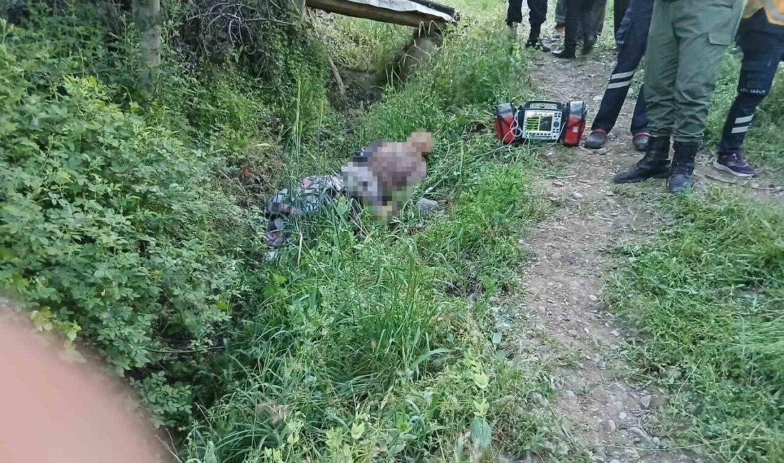 Malatya’nın Hekimhan ilçesinde, yaşlı bir adamın eşekten düşmesi sonucu hayatını