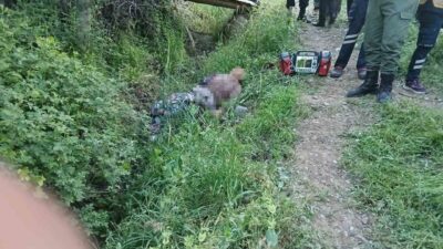 Malatya’nın Hekimhan ilçesinde, yaşlı bir adamın eşekten düşmesi sonucu hayatını