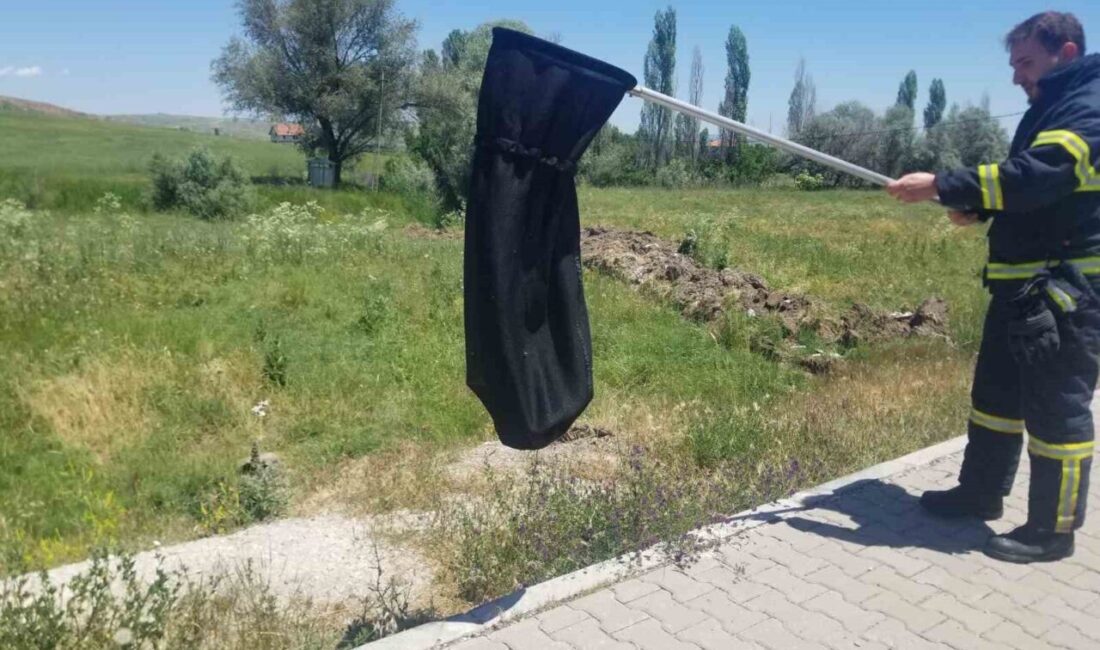 Çorum’un Alaca ilçesindeki bir evde tespit edilen yılan, vatandaşlar tarafından
