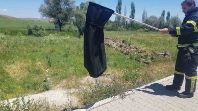 Çorum’un Alaca ilçesindeki bir evde tespit edilen yılan, vatandaşlar tarafından