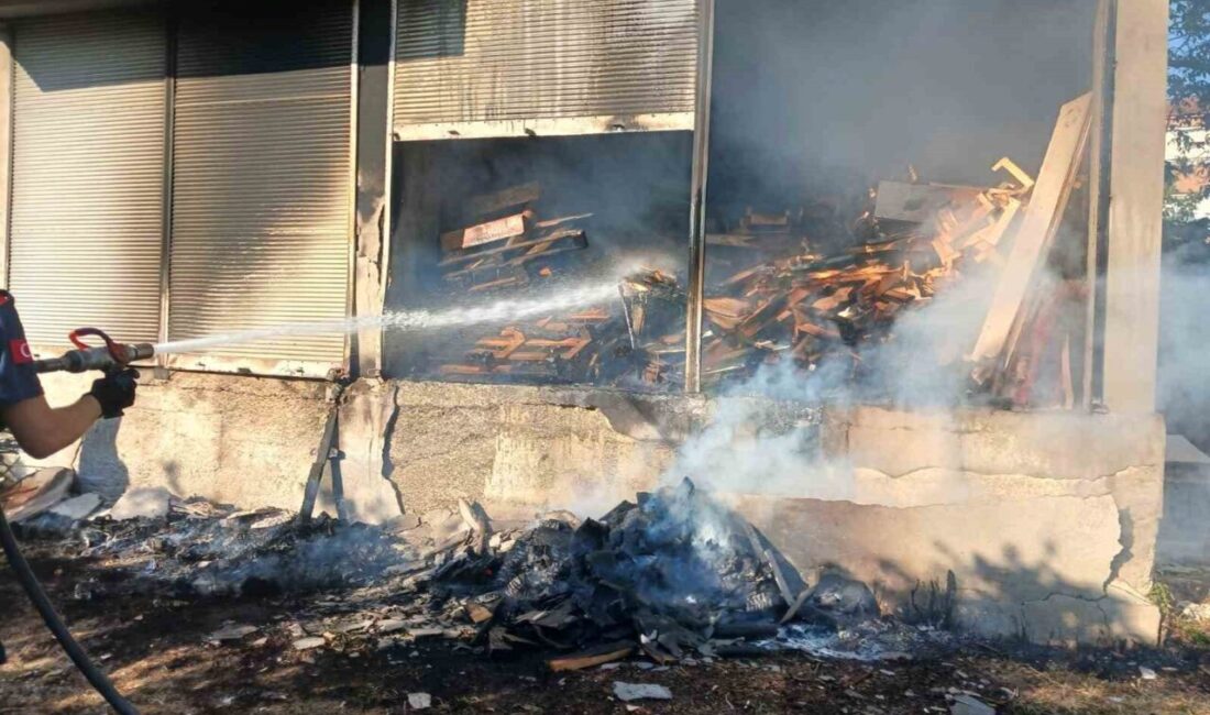 Zonguldak’ın Alaplı ilçesinde bir evin depo olarak kullanılan bölümünde meydana