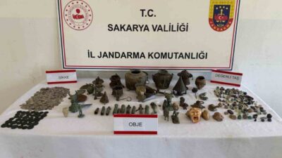 Sakarya’nın Geyve ilçesinde jandarma ekipleri tarafından gerçekleştirilen “Anadolu Mirası” operasyonunda