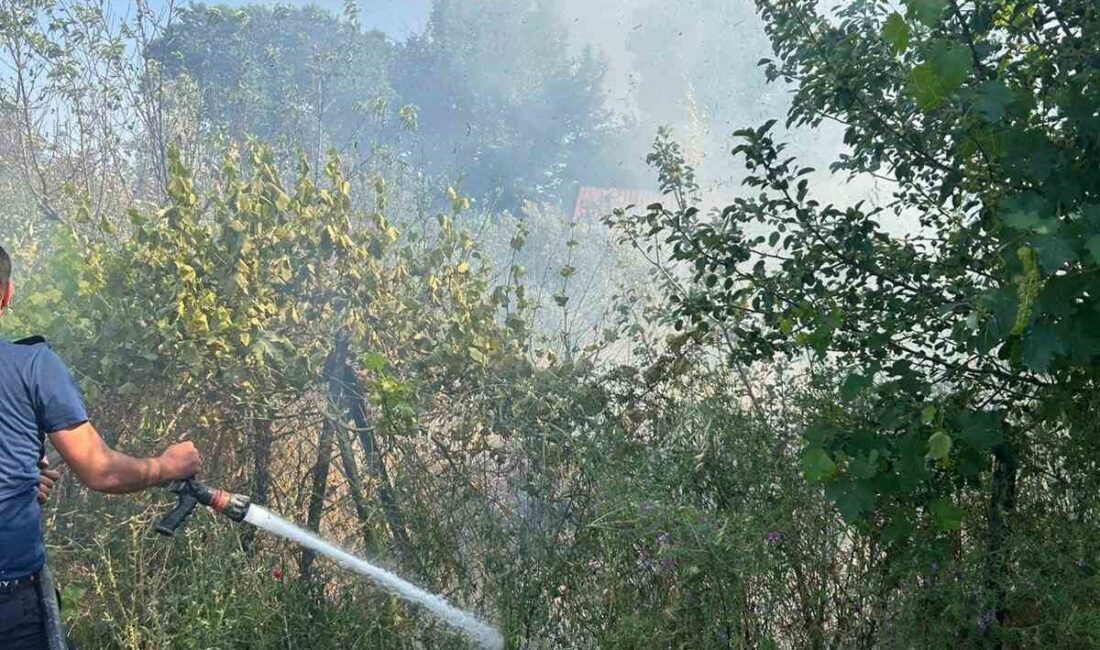 Ezine, Çanakkale’de meydana gelen yangın, itfaiye müdahalesi sayesinde hızla kontrol