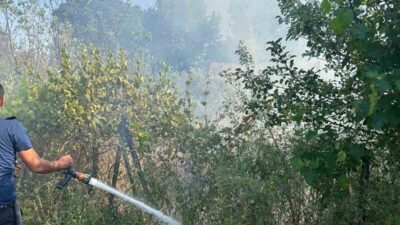 Ezine, Çanakkale’de meydana gelen yangın, itfaiye müdahalesi sayesinde hızla kontrol