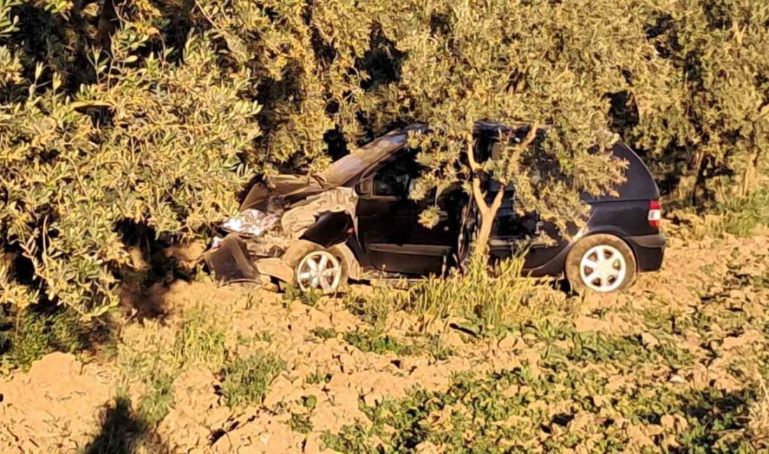 Bursa’nın İznik ilçesinde meydana gelen bir trafik kazasında, sürücü ağaca