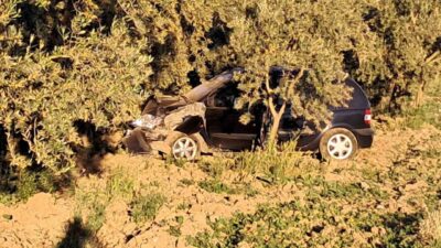 Bursa’nın İznik ilçesinde meydana gelen bir trafik kazasında, sürücü ağaca