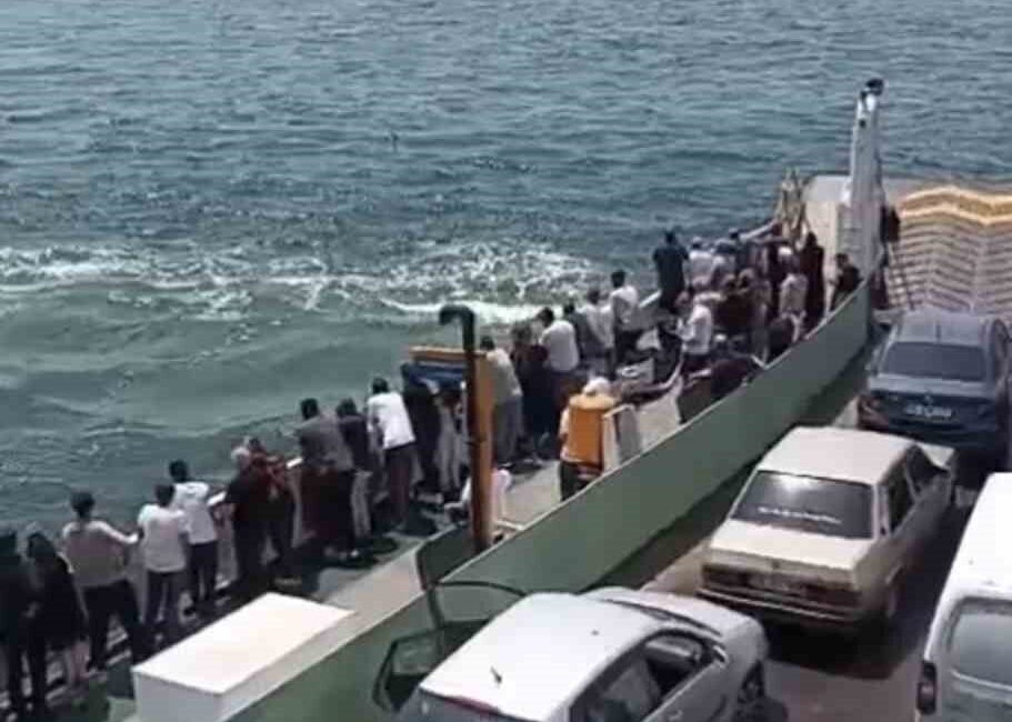 Kocaeli’de bir feribotta seyir halindeyken denize düşen bir yolcu, büfe