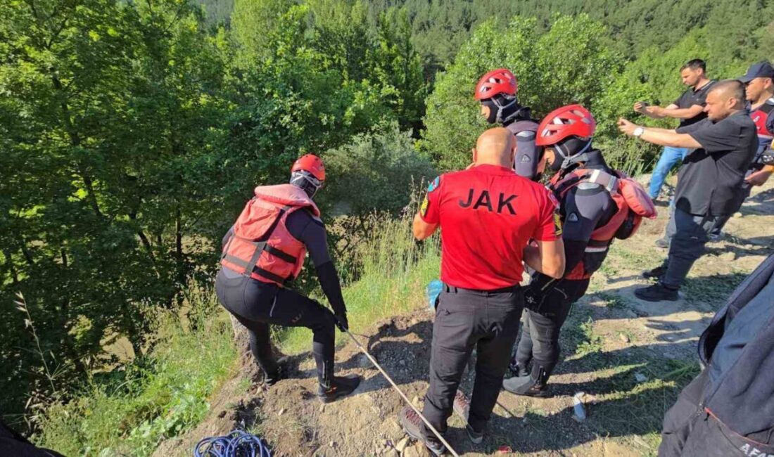 Karabük’te, CHP Karabük İl Başkan Yardımcısı Mustafa Erten, Filyos Çayı’na