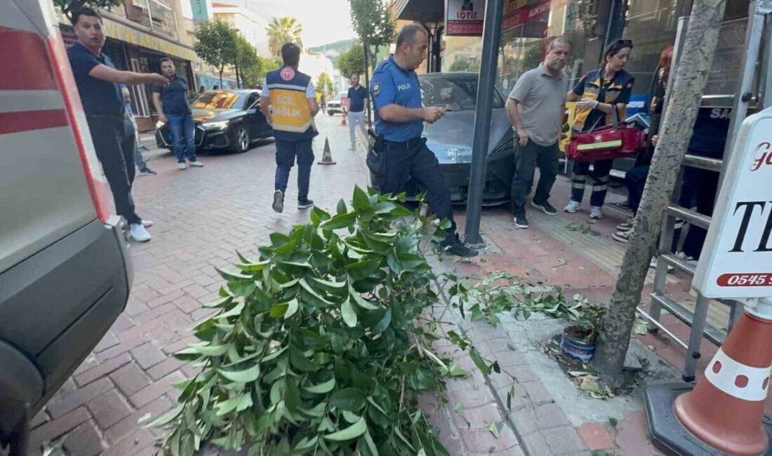 Bartın’ın turistik ilçesi Amasra’da meydana gelen trafik kazasında sürücü, fren