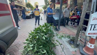 Bartın’ın turistik ilçesi Amasra’da meydana gelen trafik kazasında sürücü, fren