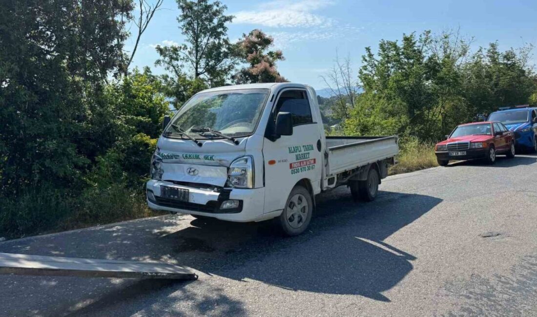 Zonguldak’ın Alaplı ilçesinde meydana gelen bir trafik kazasında, iddiaya göre