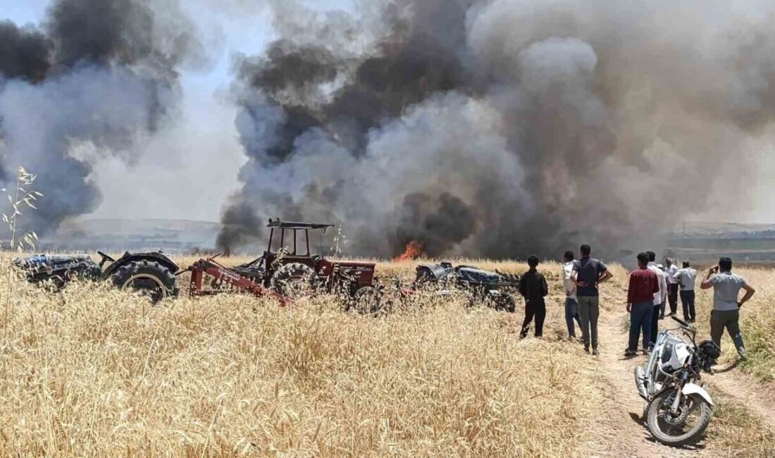 Gaziantep’in Karkamış ilçesinde meydana gelen yangında, hasada hazır 400 dönümlük