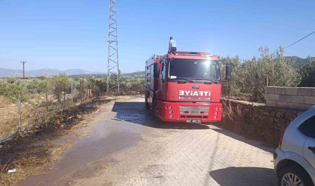 Gaziantep’in İslahiye ilçesinde, zeytin tarlalarının etrafındaki otluk alanda yangın çıktı.
