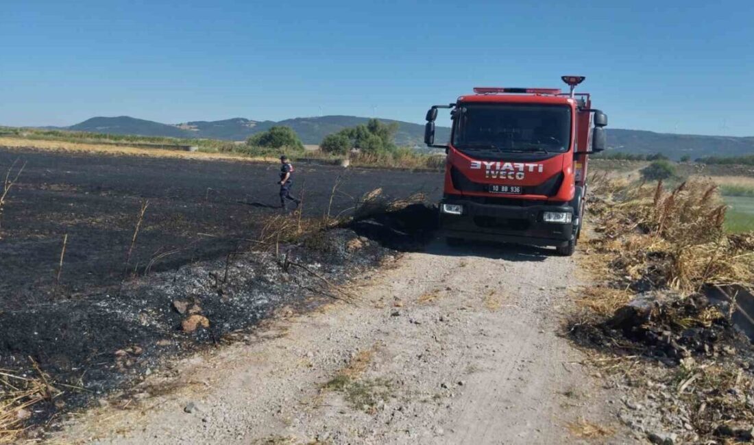 Balıkesir’in Gönen ilçesindeki bir ekili buğday tarlasında meydana gelen yangın,