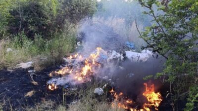 Balıkesir’in Gönen ilçesine bağlı Bakırlı Mahallesi’nde otluk ve çalılık alanda