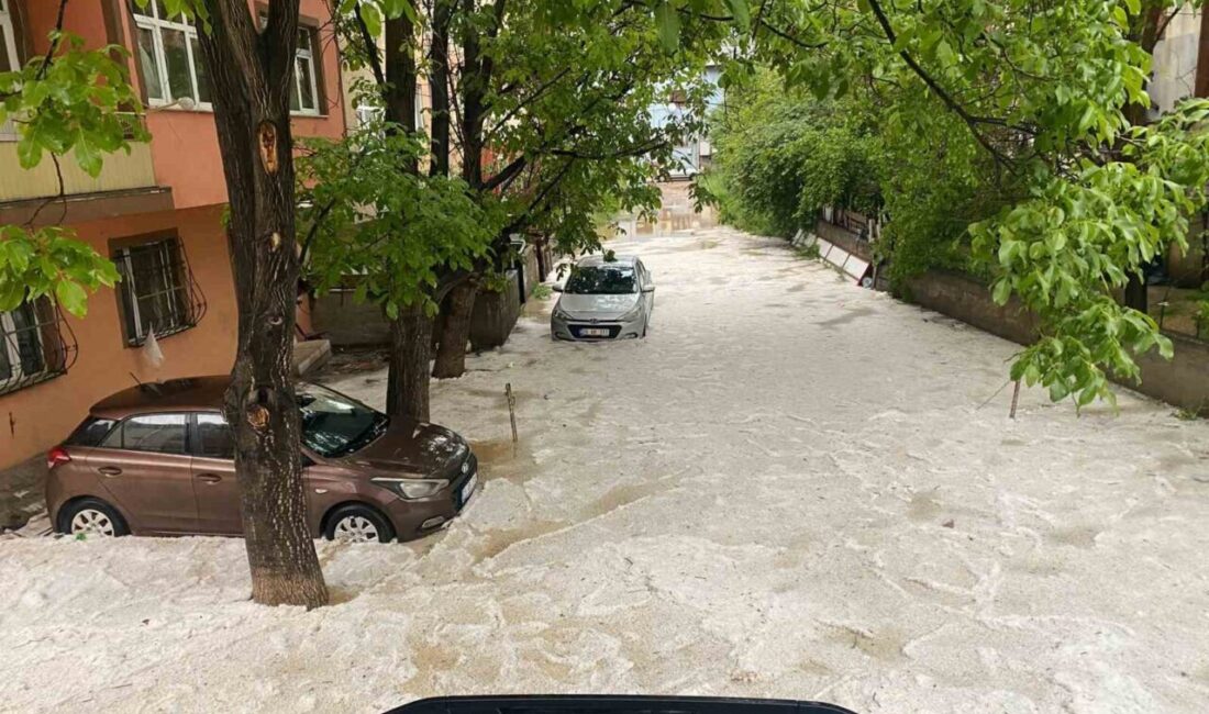 Gümüşhane ilinde yaşanan yaklaşık 2 saatlik dolu ve sağanak yağış