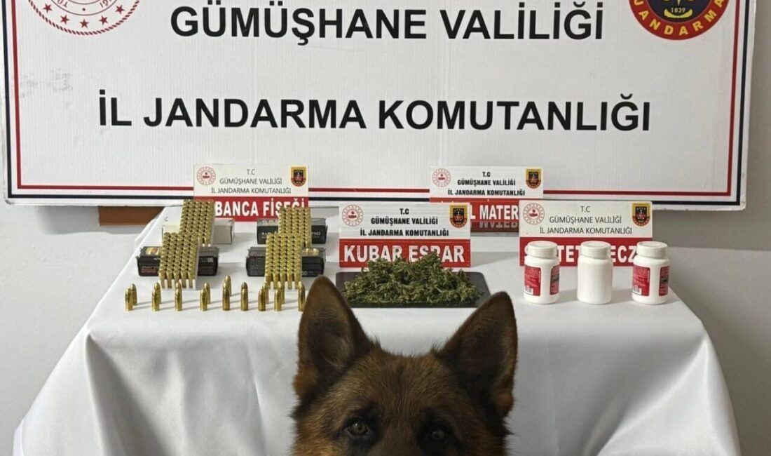 Gümüşhane ilinde jandarma ekipleri tarafından gerçekleştirilen bir operasyonda 60 gram