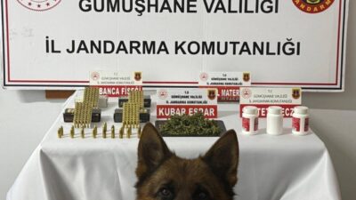 Gümüşhane ilinde jandarma ekipleri tarafından gerçekleştirilen bir operasyonda 60 gram