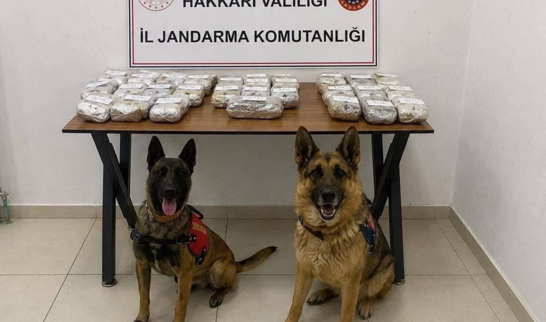 Hakkari’nin Şemdinli ilçesinde Jandarma ekipleri tarafından yapılan araç aramasında 21