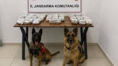 Hakkari’nin Şemdinli ilçesinde Jandarma ekipleri tarafından yapılan araç aramasında 21