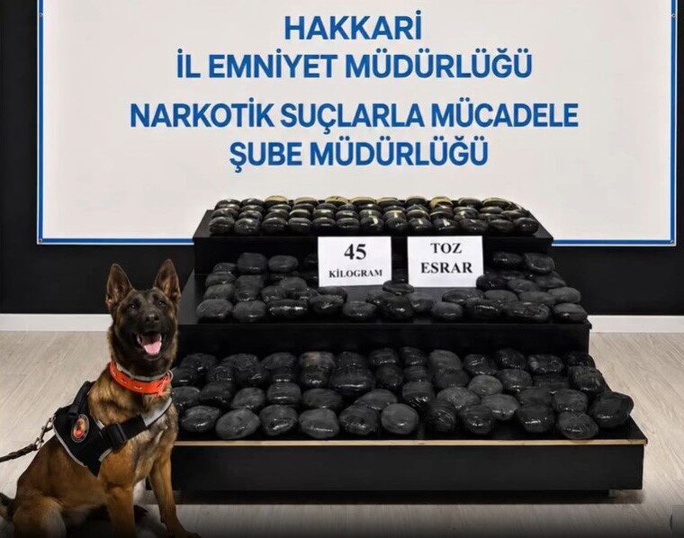 Hakkari’nin Yüksekova ilçesinde uyuşturucu suçundan aranan bir kişi, 45 kilogram