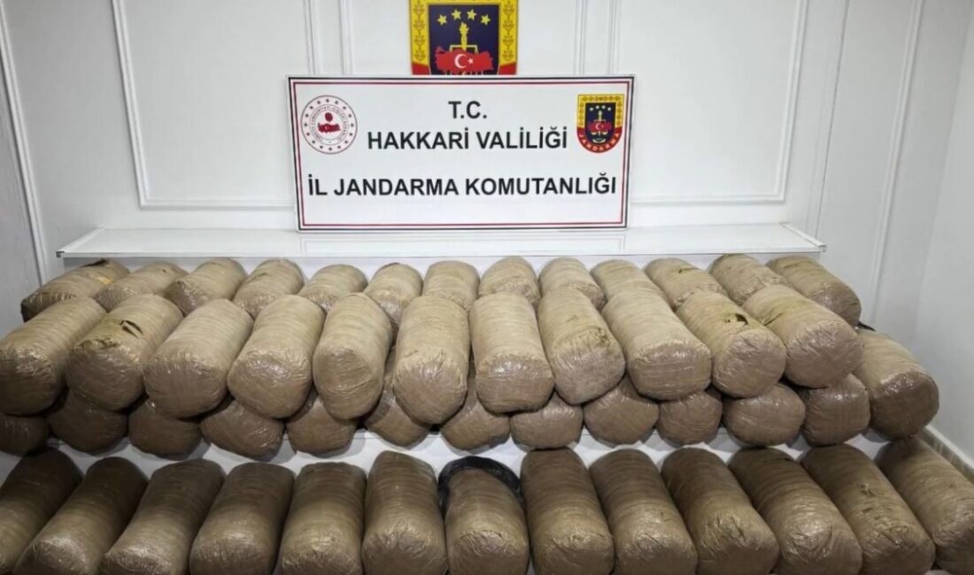 İçişleri Bakanlığı, Hakkari’de uyuşturucu üreticilerine yönelik gerçekleştirilen operasyonda 503 kilogram