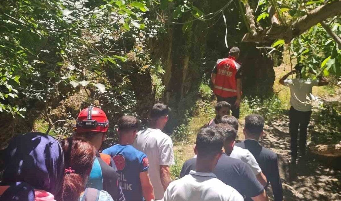 Hakkari-Çukurca kara yolunda bulunan Avaore Şelalesi yakınlarında kaza geçirip ayağı