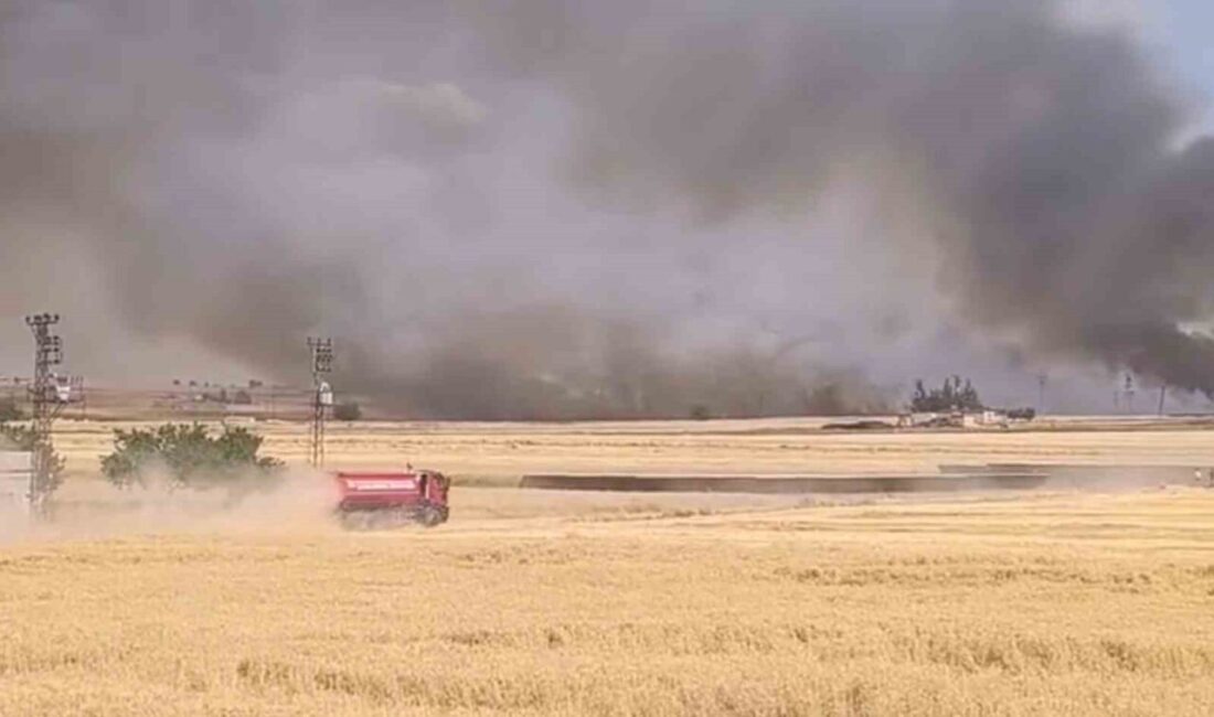 Harran ilçesinde 400 dönüm buğday tarlası ve anızın alev alev