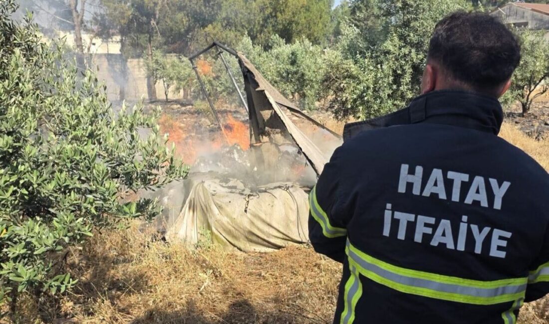 Hassa ilçesine bağlı Yeni Mahalle’de bir bahçede çıkan yangın, hızlıca