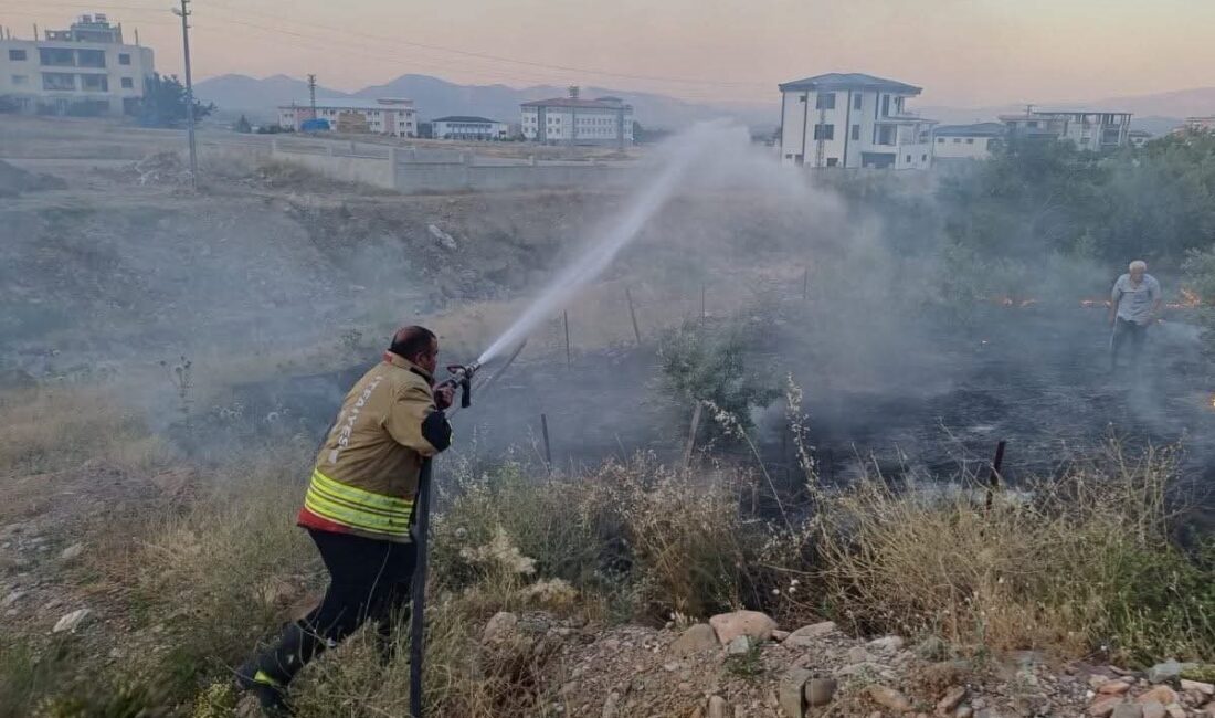 Hassa ilçesindeki bir bahçede başlayan yangın, itfaiye ekiplerinin hızlı müdahalesi