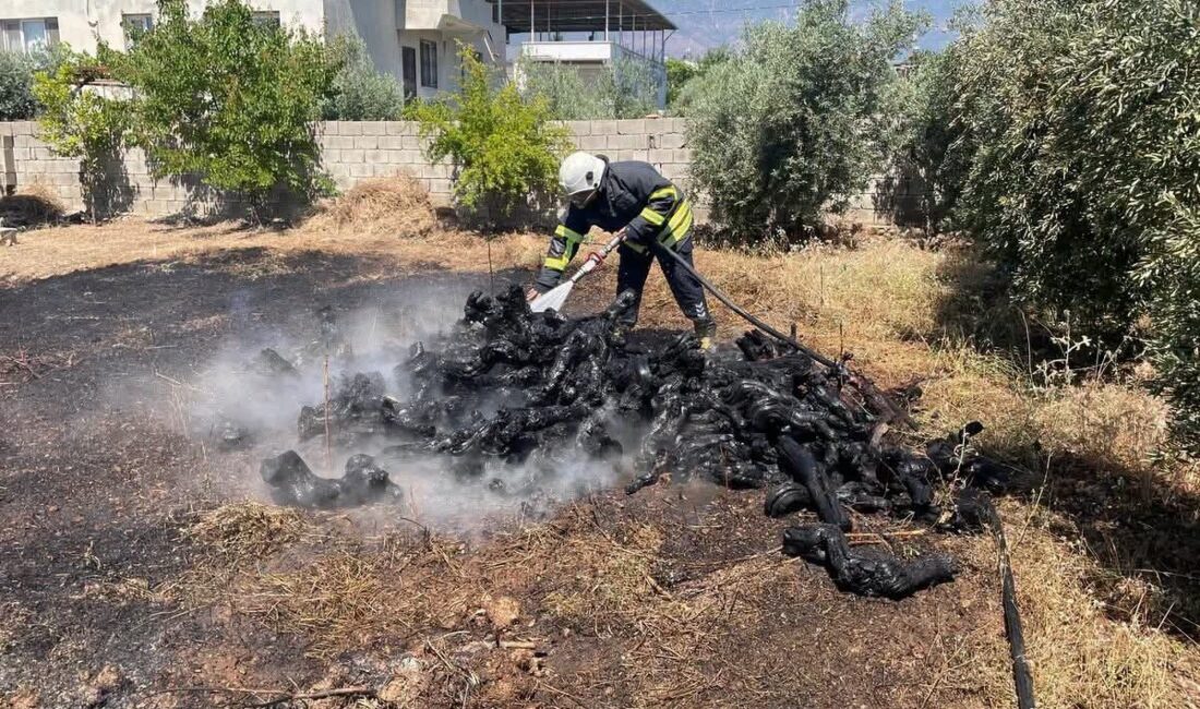Hassa ilçesindeki bir bahçede çıkan yangın, itfaiye ekiplerinin hızlı müdahalesi