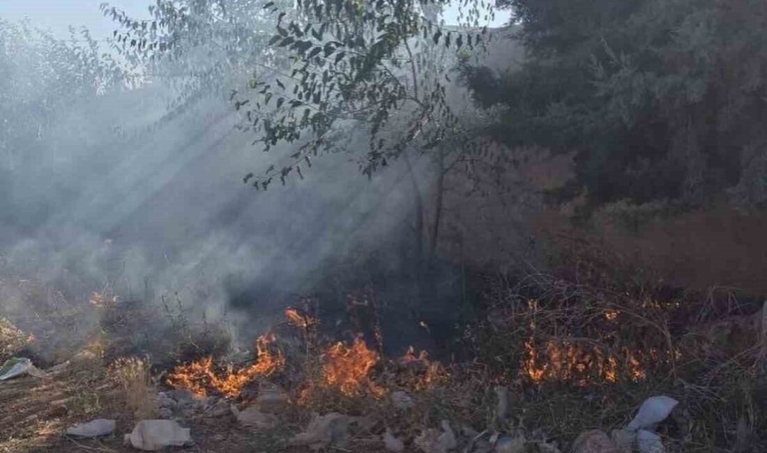 Hatay’ın Hassa ilçesinde bir bahçede çıkan yangın, çok geniş bir