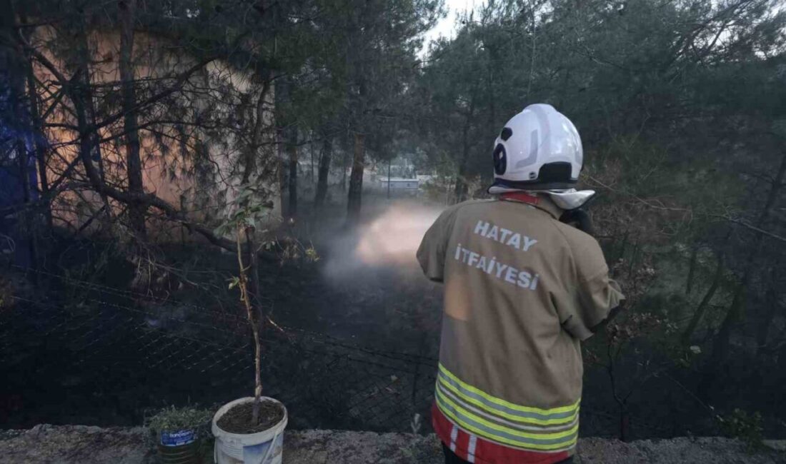 Hassa ilçesinde, çamlık alanda çıkan yangın, hızlı müdahale sayesinde diğer